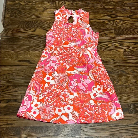 Lily Pulitzer Beautiful Floral Dress - Picture 1 of 10